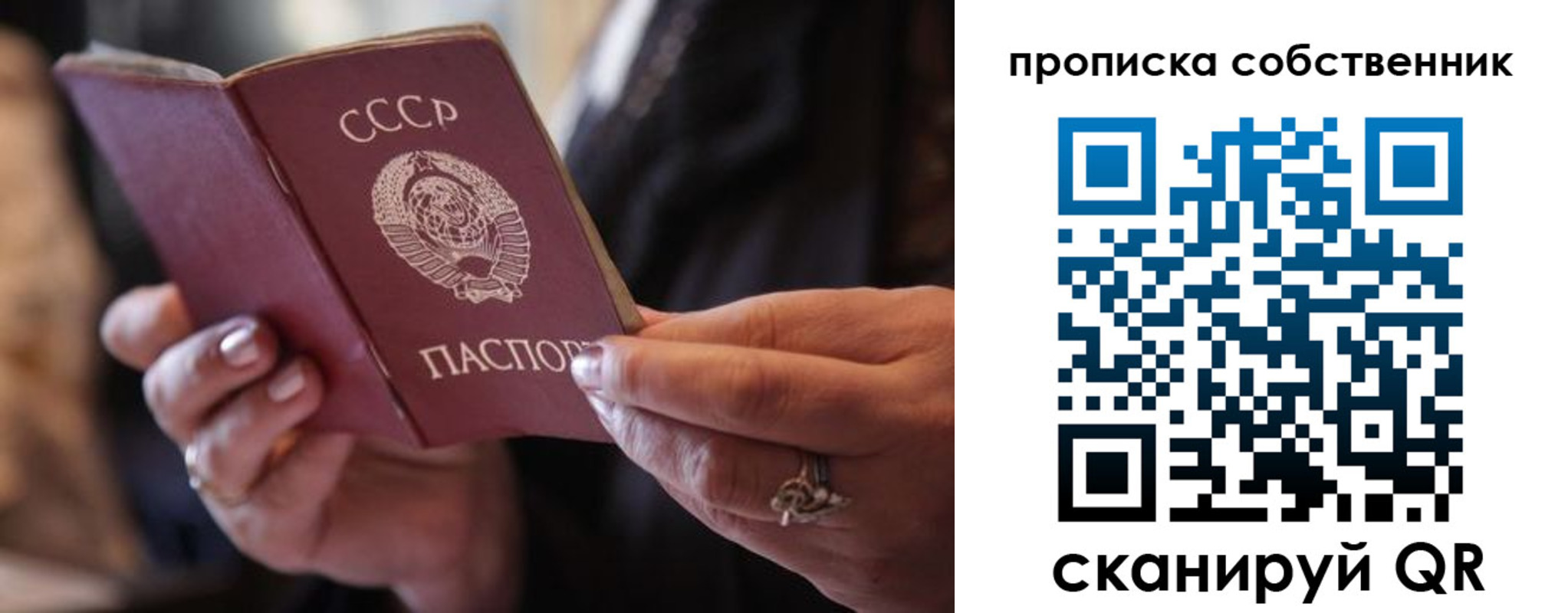прописка для школы в Красногорске